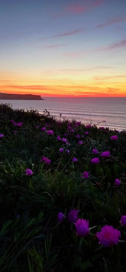 La Morada De Sana Daire Suances Dış mekan fotoğraf